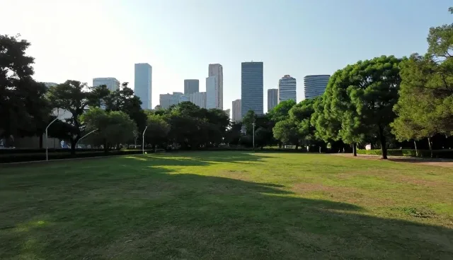 企业名录展示中如何立足本地？